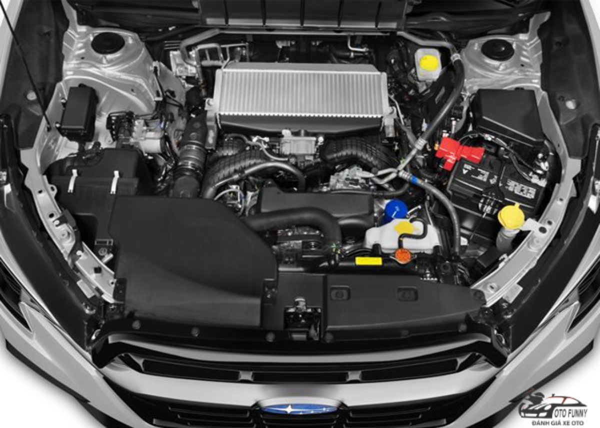 Subaru 7 chỗ