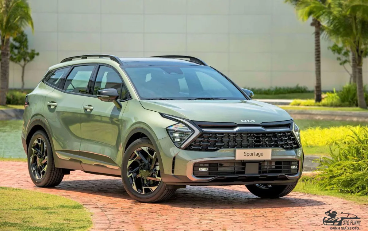 Xe 5 chỗ gầm cao